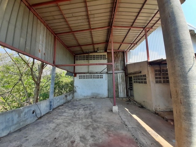 ประกาศฟรี! ซื้อ-ขาย-เช่า คอนโด บ้าน ทาวน์โฮม ที่ดิน และพื้นที่เชิงพาณิชย์ทั่วประเทศไทย ทุกทำเล ทุกงบประมาณ ไม่มีค่าใช้จ่าย ลงง่าย ขายไว เข้าถึงผู้ซื้อโดยตรง 3 252951pic2.jpg