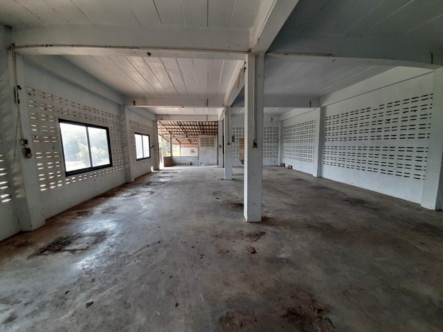 ประกาศฟรี! ซื้อ-ขาย-เช่า คอนโด บ้าน ทาวน์โฮม ที่ดิน และพื้นที่เชิงพาณิชย์ทั่วประเทศไทย ทุกทำเล ทุกงบประมาณ ไม่มีค่าใช้จ่าย ลงง่าย ขายไว เข้าถึงผู้ซื้อโดยตรง 4 252951pic3.jpg