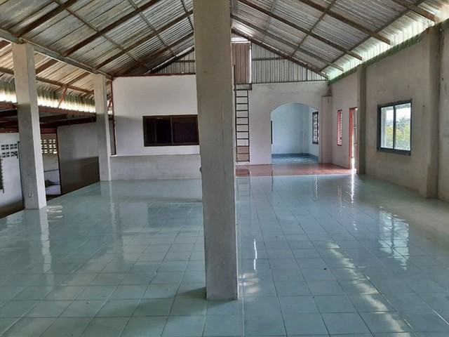 ประกาศฟรี! ซื้อ-ขาย-เช่า คอนโด บ้าน ทาวน์โฮม ที่ดิน และพื้นที่เชิงพาณิชย์ทั่วประเทศไทย ทุกทำเล ทุกงบประมาณ ไม่มีค่าใช้จ่าย ลงง่าย ขายไว เข้าถึงผู้ซื้อโดยตรง 5 252951pic4.jpg