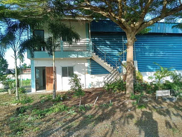 ประกาศฟรี! ซื้อ-ขาย-เช่า คอนโด บ้าน ทาวน์โฮม ที่ดิน และพื้นที่เชิงพาณิชย์ทั่วประเทศไทย ทุกทำเล ทุกงบประมาณ ไม่มีค่าใช้จ่าย ลงง่าย ขายไว เข้าถึงผู้ซื้อโดยตรง 2 252945pic1.jpg