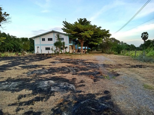 ประกาศฟรี! ซื้อ-ขาย-เช่า คอนโด บ้าน ทาวน์โฮม ที่ดิน และพื้นที่เชิงพาณิชย์ทั่วประเทศไทย ทุกทำเล ทุกงบประมาณ ไม่มีค่าใช้จ่าย ลงง่าย ขายไว เข้าถึงผู้ซื้อโดยตรง 3 252945pic2.jpg