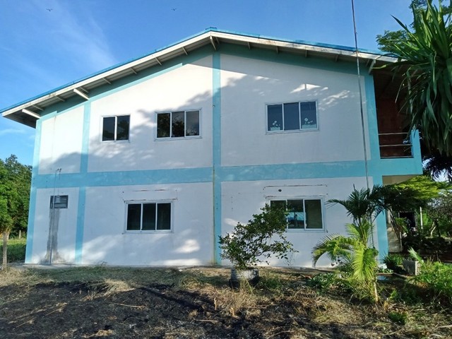 ประกาศฟรี! ซื้อ-ขาย-เช่า คอนโด บ้าน ทาวน์โฮม ที่ดิน และพื้นที่เชิงพาณิชย์ทั่วประเทศไทย ทุกทำเล ทุกงบประมาณ ไม่มีค่าใช้จ่าย ลงง่าย ขายไว เข้าถึงผู้ซื้อโดยตรง 4 252945pic3.jpg