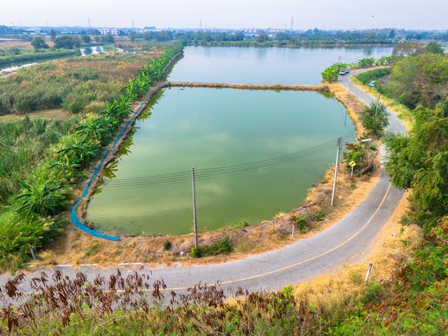 ประกาศฟรี! ซื้อ-ขาย-เช่า คอนโด บ้าน ทาวน์โฮม ที่ดิน และพื้นที่เชิงพาณิชย์ทั่วประเทศไทย ทุกทำเล ทุกงบประมาณ ไม่มีค่าใช้จ่าย ลงง่าย ขายไว เข้าถึงผู้ซื้อโดยตรง 3 243738pic2.jpg