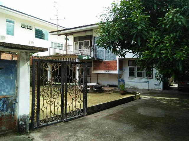 ประกาศฟรี! ซื้อ-ขาย-เช่า คอนโด บ้าน ทาวน์โฮม ที่ดิน และพื้นที่เชิงพาณิชย์ทั่วประเทศไทย ทุกทำเล ทุกงบประมาณ ไม่มีค่าใช้จ่าย ลงง่าย ขายไว เข้าถึงผู้ซื้อโดยตรง 2 514445pic1.jpg