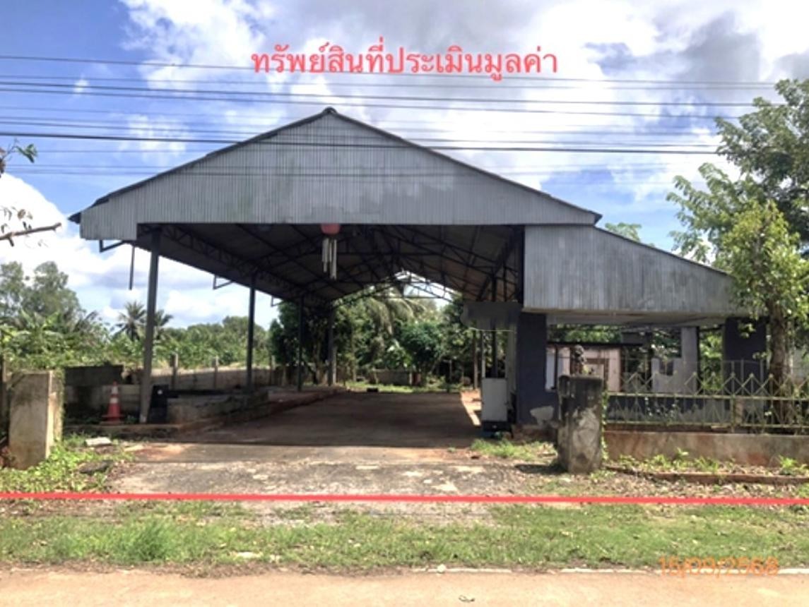 ประกาศฟรี! ซื้อ-ขาย-เช่า คอนโด บ้าน ทาวน์โฮม ที่ดิน และพื้นที่เชิงพาณิชย์ทั่วประเทศไทย ทุกทำเล ทุกงบประมาณ ไม่มีค่าใช้จ่าย ลงง่าย ขายไว เข้าถึงผู้ซื้อโดยตรง 2 253003pic1.jpg