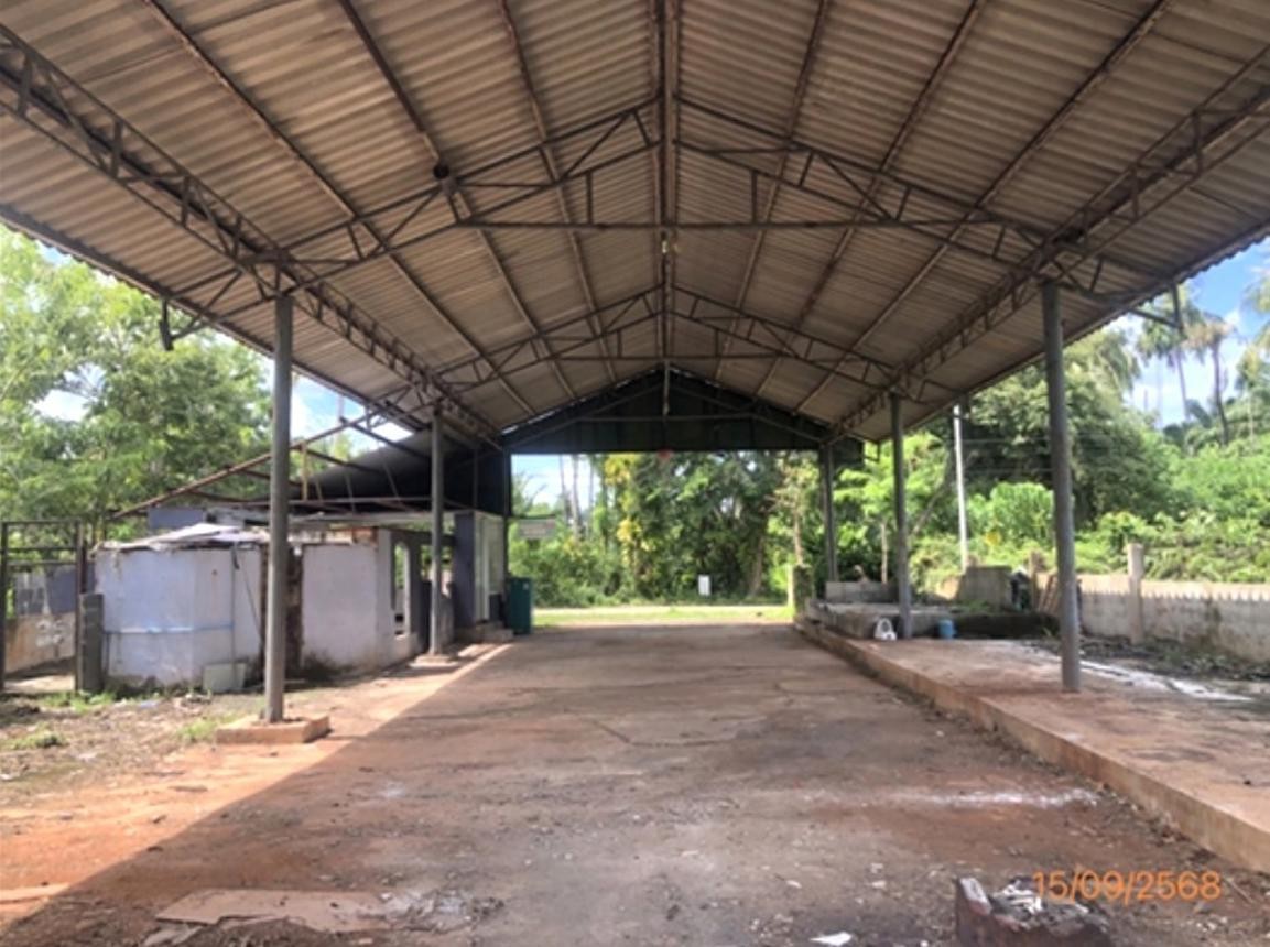 ประกาศฟรี! ซื้อ-ขาย-เช่า คอนโด บ้าน ทาวน์โฮม ที่ดิน และพื้นที่เชิงพาณิชย์ทั่วประเทศไทย ทุกทำเล ทุกงบประมาณ ไม่มีค่าใช้จ่าย ลงง่าย ขายไว เข้าถึงผู้ซื้อโดยตรง 5 253003pic4.jpg