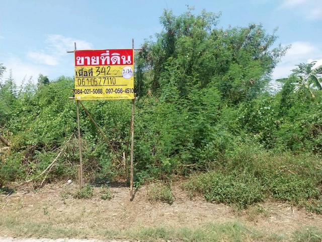 ประกาศฟรี! ซื้อ-ขาย-เช่า คอนโด บ้าน ทาวน์โฮม ที่ดิน และพื้นที่เชิงพาณิชย์ทั่วประเทศไทย ทุกทำเล ทุกงบประมาณ ไม่มีค่าใช้จ่าย ลงง่าย ขายไว เข้าถึงผู้ซื้อโดยตรง 2 514635pic1.jpg