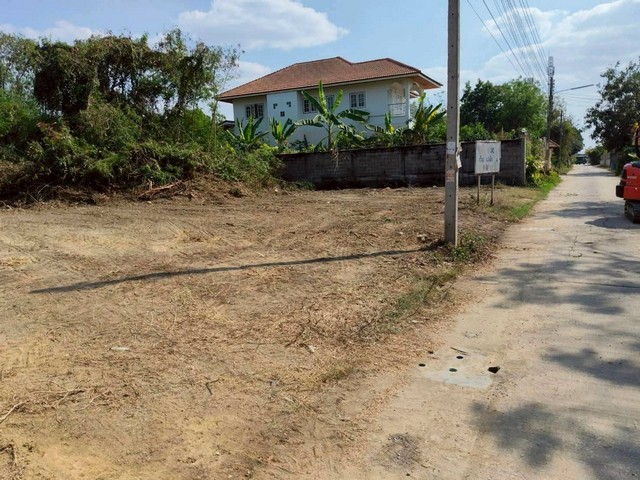 ประกาศฟรี! ซื้อ-ขาย-เช่า คอนโด บ้าน ทาวน์โฮม ที่ดิน และพื้นที่เชิงพาณิชย์ทั่วประเทศไทย ทุกทำเล ทุกงบประมาณ ไม่มีค่าใช้จ่าย ลงง่าย ขายไว เข้าถึงผู้ซื้อโดยตรง 5 514635pic4.jpg