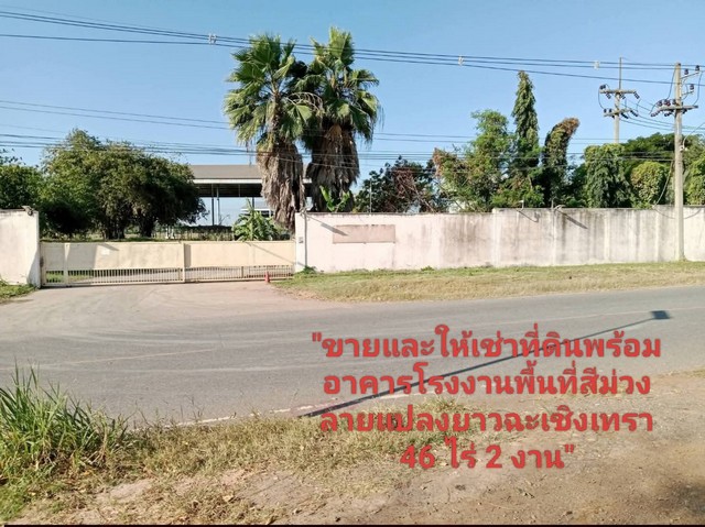 ประกาศฟรี! ซื้อ-ขาย-เช่า คอนโด บ้าน ทาวน์โฮม ที่ดิน และพื้นที่เชิงพาณิชย์ทั่วประเทศไทย ทุกทำเล ทุกงบประมาณ ไม่มีค่าใช้จ่าย ลงง่าย ขายไว เข้าถึงผู้ซื้อโดยตรง 2 315442pic1.jpg