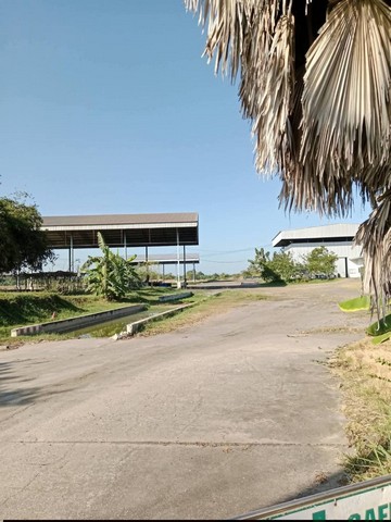 ประกาศฟรี! ซื้อ-ขาย-เช่า คอนโด บ้าน ทาวน์โฮม ที่ดิน และพื้นที่เชิงพาณิชย์ทั่วประเทศไทย ทุกทำเล ทุกงบประมาณ ไม่มีค่าใช้จ่าย ลงง่าย ขายไว เข้าถึงผู้ซื้อโดยตรง 4 315442pic3.jpg