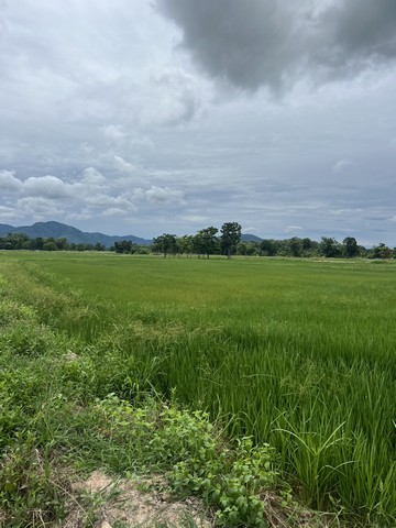 ประกาศฟรี! ซื้อ-ขาย-เช่า คอนโด บ้าน ทาวน์โฮม ที่ดิน และพื้นที่เชิงพาณิชย์ทั่วประเทศไทย ทุกทำเล ทุกงบประมาณ ไม่มีค่าใช้จ่าย ลงง่าย ขายไว เข้าถึงผู้ซื้อโดยตรง 5 253195pic4.jpg