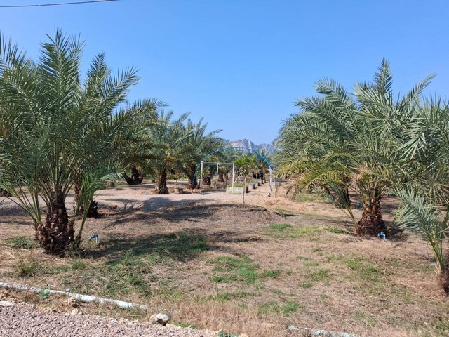 ประกาศฟรี! ซื้อ-ขาย-เช่า คอนโด บ้าน ทาวน์โฮม ที่ดิน และพื้นที่เชิงพาณิชย์ทั่วประเทศไทย ทุกทำเล ทุกงบประมาณ ไม่มีค่าใช้จ่าย ลงง่าย ขายไว เข้าถึงผู้ซื้อโดยตรง 5 253203pic4.jpg