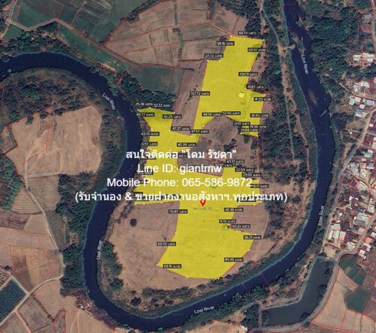 ประกาศฟรี! ซื้อ-ขาย-เช่า คอนโด บ้าน ทาวน์โฮม ที่ดิน และพื้นที่เชิงพาณิชย์ทั่วประเทศไทย ทุกทำเล ทุกงบประมาณ ไม่มีค่าใช้จ่าย ลงง่าย ขายไว เข้าถึงผู้ซื้อโดยตรง 2 21655pic1.jpg