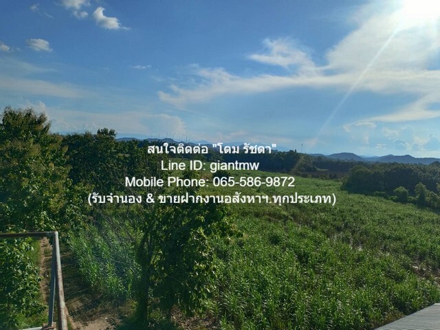 ประกาศฟรี! ซื้อ-ขาย-เช่า คอนโด บ้าน ทาวน์โฮม ที่ดิน และพื้นที่เชิงพาณิชย์ทั่วประเทศไทย ทุกทำเล ทุกงบประมาณ ไม่มีค่าใช้จ่าย ลงง่าย ขายไว เข้าถึงผู้ซื้อโดยตรง 5 21655pic4.jpg