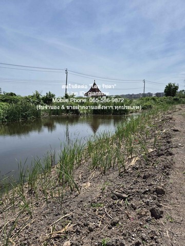 ประกาศฟรี! ซื้อ-ขาย-เช่า คอนโด บ้าน ทาวน์โฮม ที่ดิน และพื้นที่เชิงพาณิชย์ทั่วประเทศไทย ทุกทำเล ทุกงบประมาณ ไม่มีค่าใช้จ่าย ลงง่าย ขายไว เข้าถึงผู้ซื้อโดยตรง 4 21649pic3.jpg