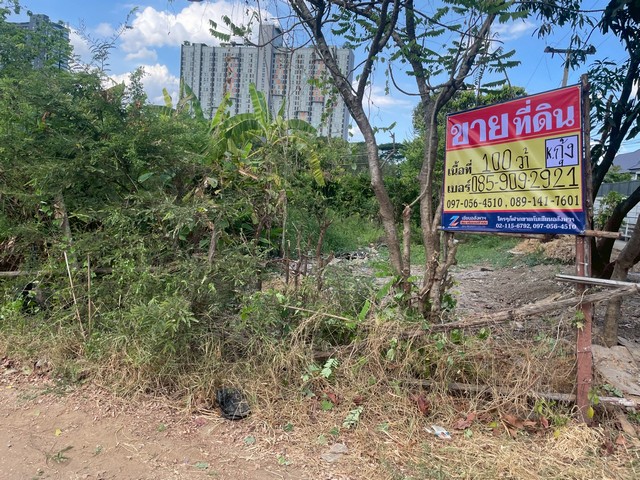 ประกาศฟรี! ซื้อ-ขาย-เช่า คอนโด บ้าน ทาวน์โฮม ที่ดิน และพื้นที่เชิงพาณิชย์ทั่วประเทศไทย ทุกทำเล ทุกงบประมาณ ไม่มีค่าใช้จ่าย ลงง่าย ขายไว เข้าถึงผู้ซื้อโดยตรง 2 514825pic1.jpg