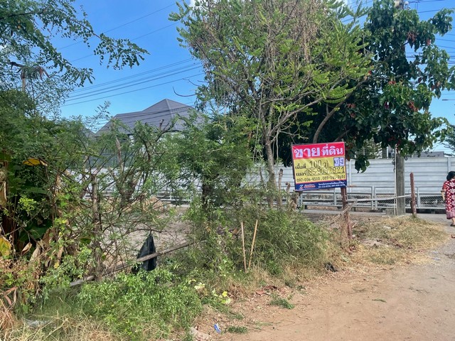 ประกาศฟรี! ซื้อ-ขาย-เช่า คอนโด บ้าน ทาวน์โฮม ที่ดิน และพื้นที่เชิงพาณิชย์ทั่วประเทศไทย ทุกทำเล ทุกงบประมาณ ไม่มีค่าใช้จ่าย ลงง่าย ขายไว เข้าถึงผู้ซื้อโดยตรง 3 514825pic2.jpg