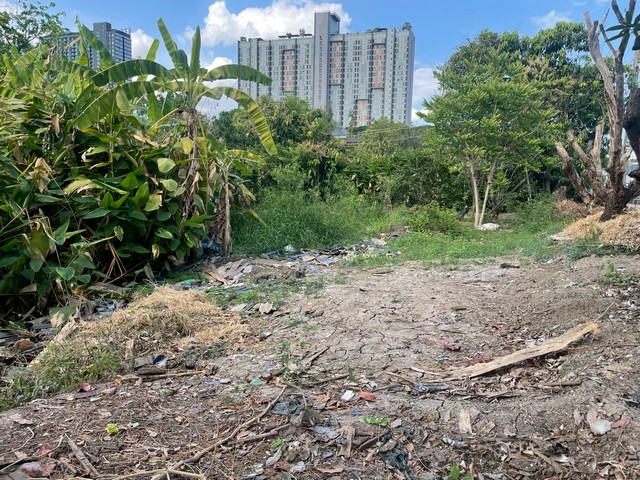 ประกาศฟรี! ซื้อ-ขาย-เช่า คอนโด บ้าน ทาวน์โฮม ที่ดิน และพื้นที่เชิงพาณิชย์ทั่วประเทศไทย ทุกทำเล ทุกงบประมาณ ไม่มีค่าใช้จ่าย ลงง่าย ขายไว เข้าถึงผู้ซื้อโดยตรง 4 514825pic3.jpg