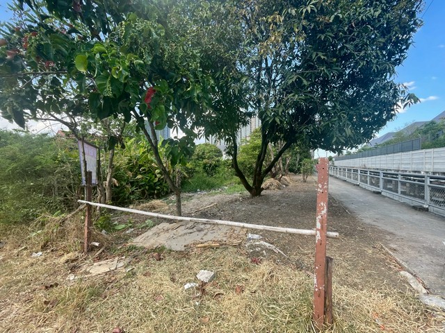 ประกาศฟรี! ซื้อ-ขาย-เช่า คอนโด บ้าน ทาวน์โฮม ที่ดิน และพื้นที่เชิงพาณิชย์ทั่วประเทศไทย ทุกทำเล ทุกงบประมาณ ไม่มีค่าใช้จ่าย ลงง่าย ขายไว เข้าถึงผู้ซื้อโดยตรง 5 514825pic4.jpg