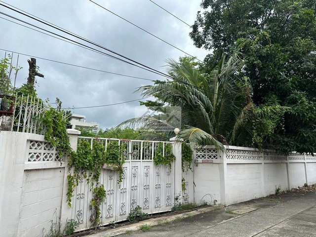 ประกาศฟรี! ซื้อ-ขาย-เช่า คอนโด บ้าน ทาวน์โฮม ที่ดิน และพื้นที่เชิงพาณิชย์ทั่วประเทศไทย ทุกทำเล ทุกงบประมาณ ไม่มีค่าใช้จ่าย ลงง่าย ขายไว เข้าถึงผู้ซื้อโดยตรง 2 474391pic1.jpg