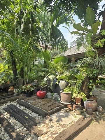 ประกาศฟรี! ซื้อ-ขาย-เช่า คอนโด บ้าน ทาวน์โฮม ที่ดิน และพื้นที่เชิงพาณิชย์ทั่วประเทศไทย ทุกทำเล ทุกงบประมาณ ไม่มีค่าใช้จ่าย ลงง่าย ขายไว เข้าถึงผู้ซื้อโดยตรง 3 315539pic2.jpg