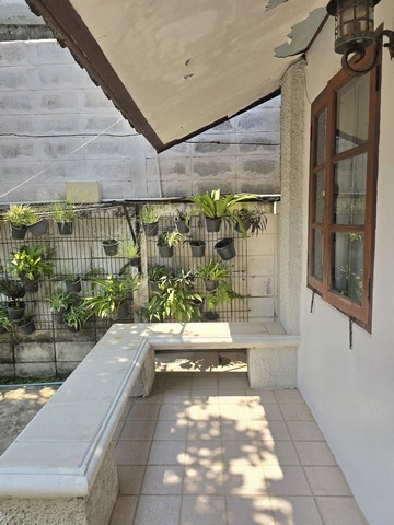 ประกาศฟรี! ซื้อ-ขาย-เช่า คอนโด บ้าน ทาวน์โฮม ที่ดิน และพื้นที่เชิงพาณิชย์ทั่วประเทศไทย ทุกทำเล ทุกงบประมาณ ไม่มีค่าใช้จ่าย ลงง่าย ขายไว เข้าถึงผู้ซื้อโดยตรง 4 315539pic3.jpg