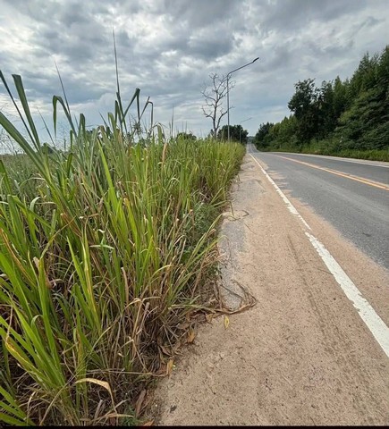 ประกาศฟรี! ซื้อ-ขาย-เช่า คอนโด บ้าน ทาวน์โฮม ที่ดิน และพื้นที่เชิงพาณิชย์ทั่วประเทศไทย ทุกทำเล ทุกงบประมาณ ไม่มีค่าใช้จ่าย ลงง่าย ขายไว เข้าถึงผู้ซื้อโดยตรง 3 253826pic2.jpg