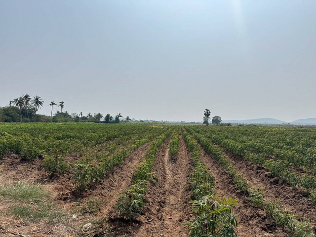 ประกาศฟรี! ซื้อ-ขาย-เช่า คอนโด บ้าน ทาวน์โฮม ที่ดิน และพื้นที่เชิงพาณิชย์ทั่วประเทศไทย ทุกทำเล ทุกงบประมาณ ไม่มีค่าใช้จ่าย ลงง่าย ขายไว เข้าถึงผู้ซื้อโดยตรง 4 315584pic3.jpg