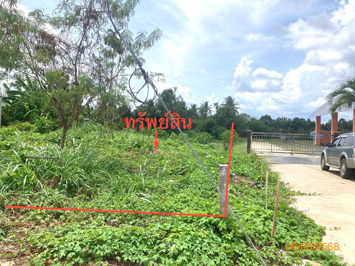 ประกาศฟรี! ซื้อ-ขาย-เช่า คอนโด บ้าน ทาวน์โฮม ที่ดิน และพื้นที่เชิงพาณิชย์ทั่วประเทศไทย ทุกทำเล ทุกงบประมาณ ไม่มีค่าใช้จ่าย ลงง่าย ขายไว เข้าถึงผู้ซื้อโดยตรง 5 253111pic4.jpg