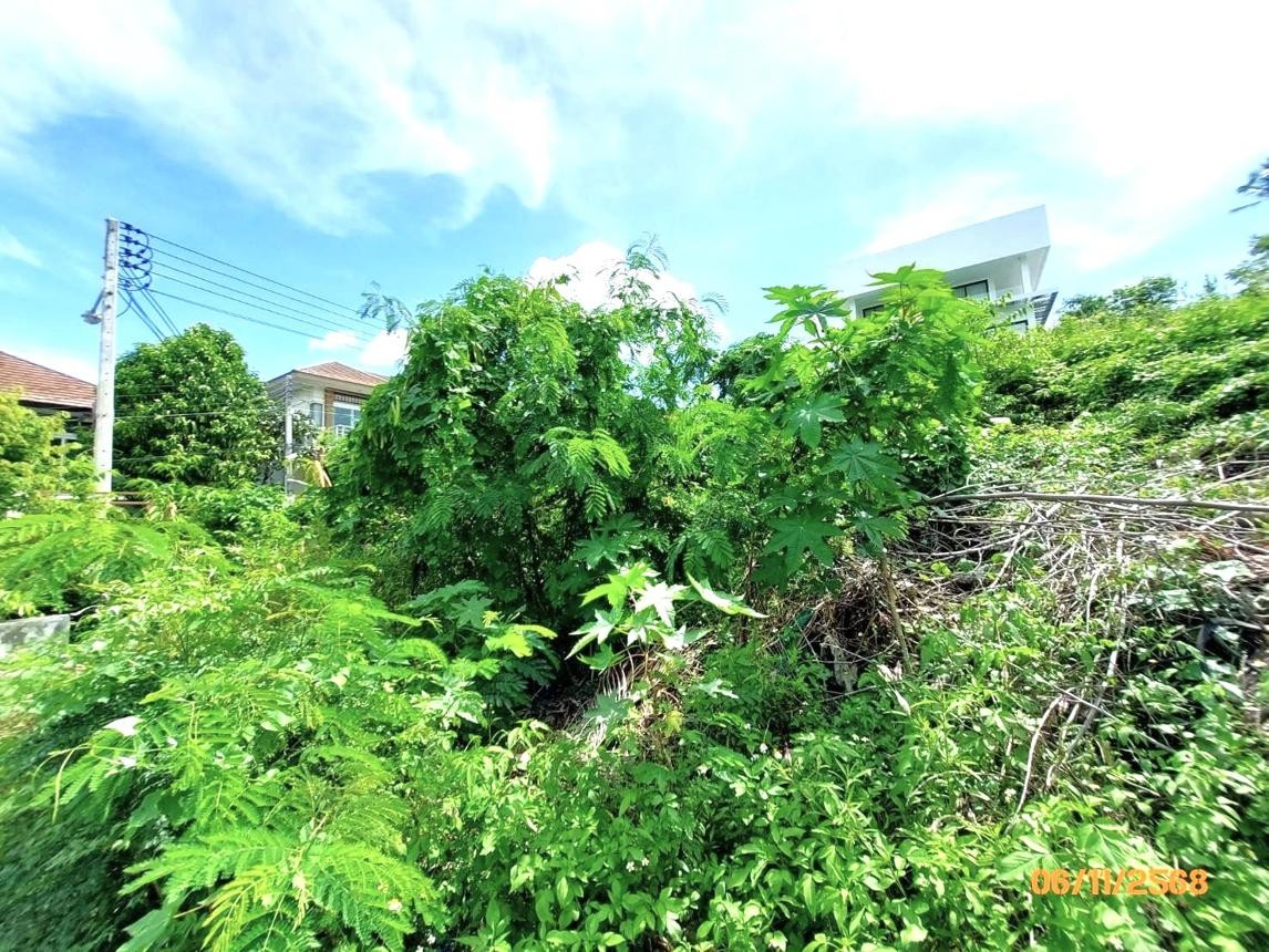 ประกาศฟรี! ซื้อ-ขาย-เช่า คอนโด บ้าน ทาวน์โฮม ที่ดิน และพื้นที่เชิงพาณิชย์ทั่วประเทศไทย ทุกทำเล ทุกงบประมาณ ไม่มีค่าใช้จ่าย ลงง่าย ขายไว เข้าถึงผู้ซื้อโดยตรง 5 253106pic4.jpg