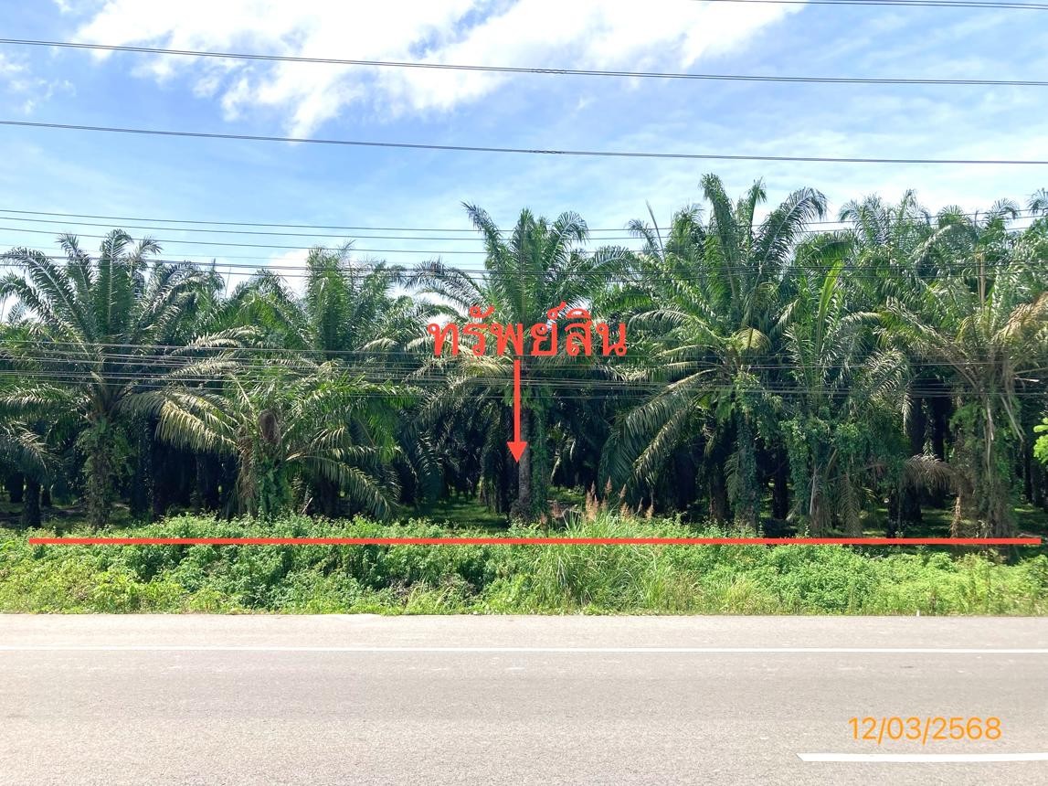 ประกาศฟรี! ซื้อ-ขาย-เช่า คอนโด บ้าน ทาวน์โฮม ที่ดิน และพื้นที่เชิงพาณิชย์ทั่วประเทศไทย ทุกทำเล ทุกงบประมาณ ไม่มีค่าใช้จ่าย ลงง่าย ขายไว เข้าถึงผู้ซื้อโดยตรง 2 253105pic1.jpg