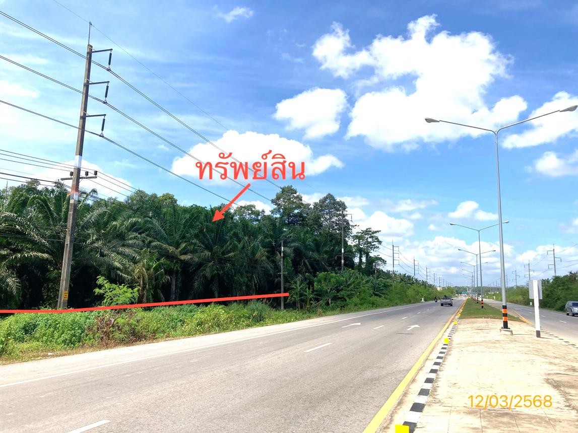 ประกาศฟรี! ซื้อ-ขาย-เช่า คอนโด บ้าน ทาวน์โฮม ที่ดิน และพื้นที่เชิงพาณิชย์ทั่วประเทศไทย ทุกทำเล ทุกงบประมาณ ไม่มีค่าใช้จ่าย ลงง่าย ขายไว เข้าถึงผู้ซื้อโดยตรง 4 253105pic3.jpg