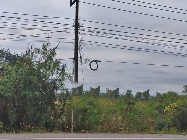 ประกาศฟรี! ซื้อ-ขาย-เช่า คอนโด บ้าน ทาวน์โฮม ที่ดิน และพื้นที่เชิงพาณิชย์ทั่วประเทศไทย ทุกทำเล ทุกงบประมาณ ไม่มีค่าใช้จ่าย ลงง่าย ขายไว เข้าถึงผู้ซื้อโดยตรง 4 252980pic3.jpg