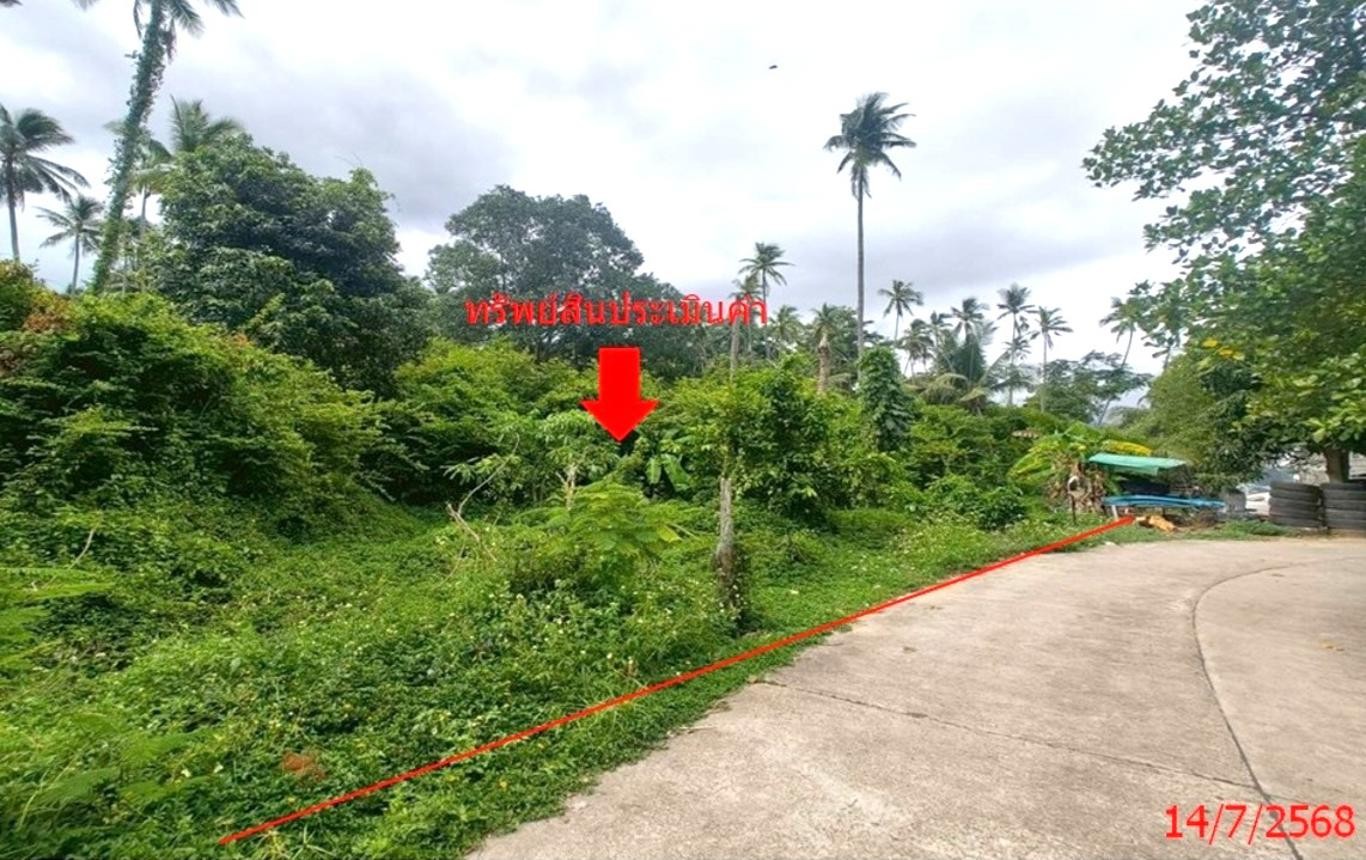 ประกาศฟรี! ซื้อ-ขาย-เช่า คอนโด บ้าน ทาวน์โฮม ที่ดิน และพื้นที่เชิงพาณิชย์ทั่วประเทศไทย ทุกทำเล ทุกงบประมาณ ไม่มีค่าใช้จ่าย ลงง่าย ขายไว เข้าถึงผู้ซื้อโดยตรง 2 253102pic1.jpg