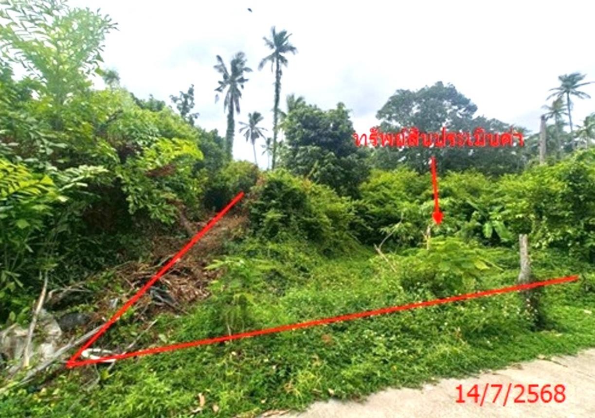 ประกาศฟรี! ซื้อ-ขาย-เช่า คอนโด บ้าน ทาวน์โฮม ที่ดิน และพื้นที่เชิงพาณิชย์ทั่วประเทศไทย ทุกทำเล ทุกงบประมาณ ไม่มีค่าใช้จ่าย ลงง่าย ขายไว เข้าถึงผู้ซื้อโดยตรง 3 253102pic2.jpg