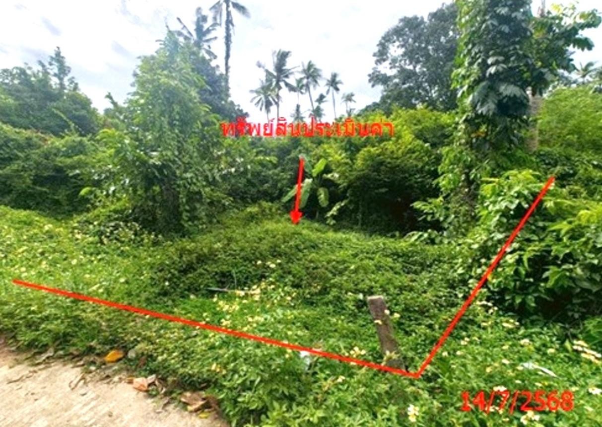 ประกาศฟรี! ซื้อ-ขาย-เช่า คอนโด บ้าน ทาวน์โฮม ที่ดิน และพื้นที่เชิงพาณิชย์ทั่วประเทศไทย ทุกทำเล ทุกงบประมาณ ไม่มีค่าใช้จ่าย ลงง่าย ขายไว เข้าถึงผู้ซื้อโดยตรง 4 253102pic3.jpg