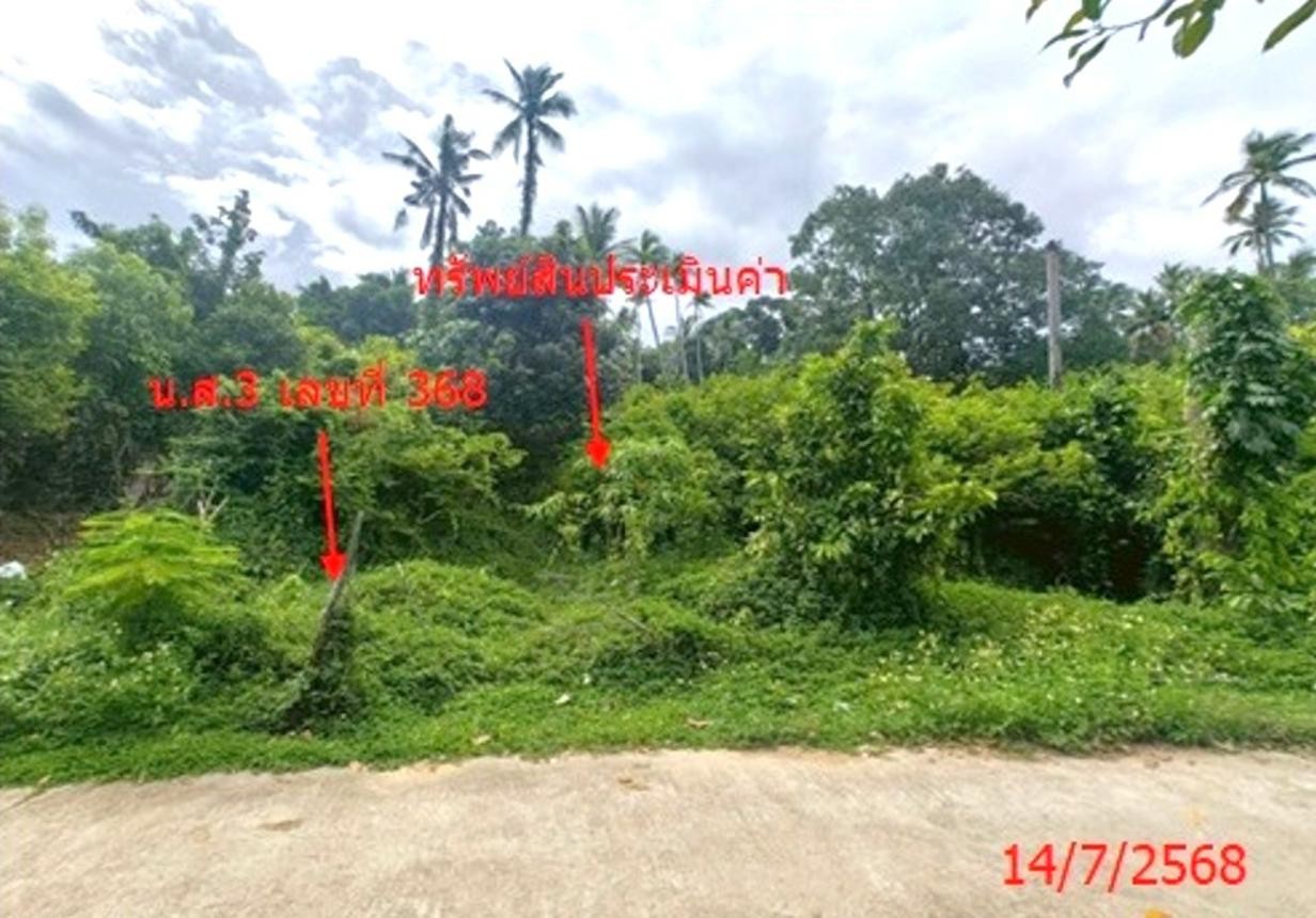 ประกาศฟรี! ซื้อ-ขาย-เช่า คอนโด บ้าน ทาวน์โฮม ที่ดิน และพื้นที่เชิงพาณิชย์ทั่วประเทศไทย ทุกทำเล ทุกงบประมาณ ไม่มีค่าใช้จ่าย ลงง่าย ขายไว เข้าถึงผู้ซื้อโดยตรง 5 253102pic4.jpg