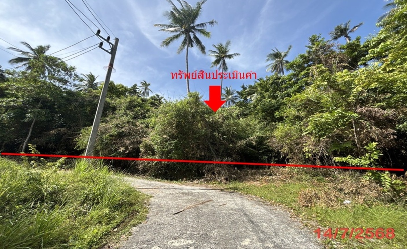 ประกาศฟรี! ซื้อ-ขาย-เช่า คอนโด บ้าน ทาวน์โฮม ที่ดิน และพื้นที่เชิงพาณิชย์ทั่วประเทศไทย ทุกทำเล ทุกงบประมาณ ไม่มีค่าใช้จ่าย ลงง่าย ขายไว เข้าถึงผู้ซื้อโดยตรง 2 253099pic1.jpg