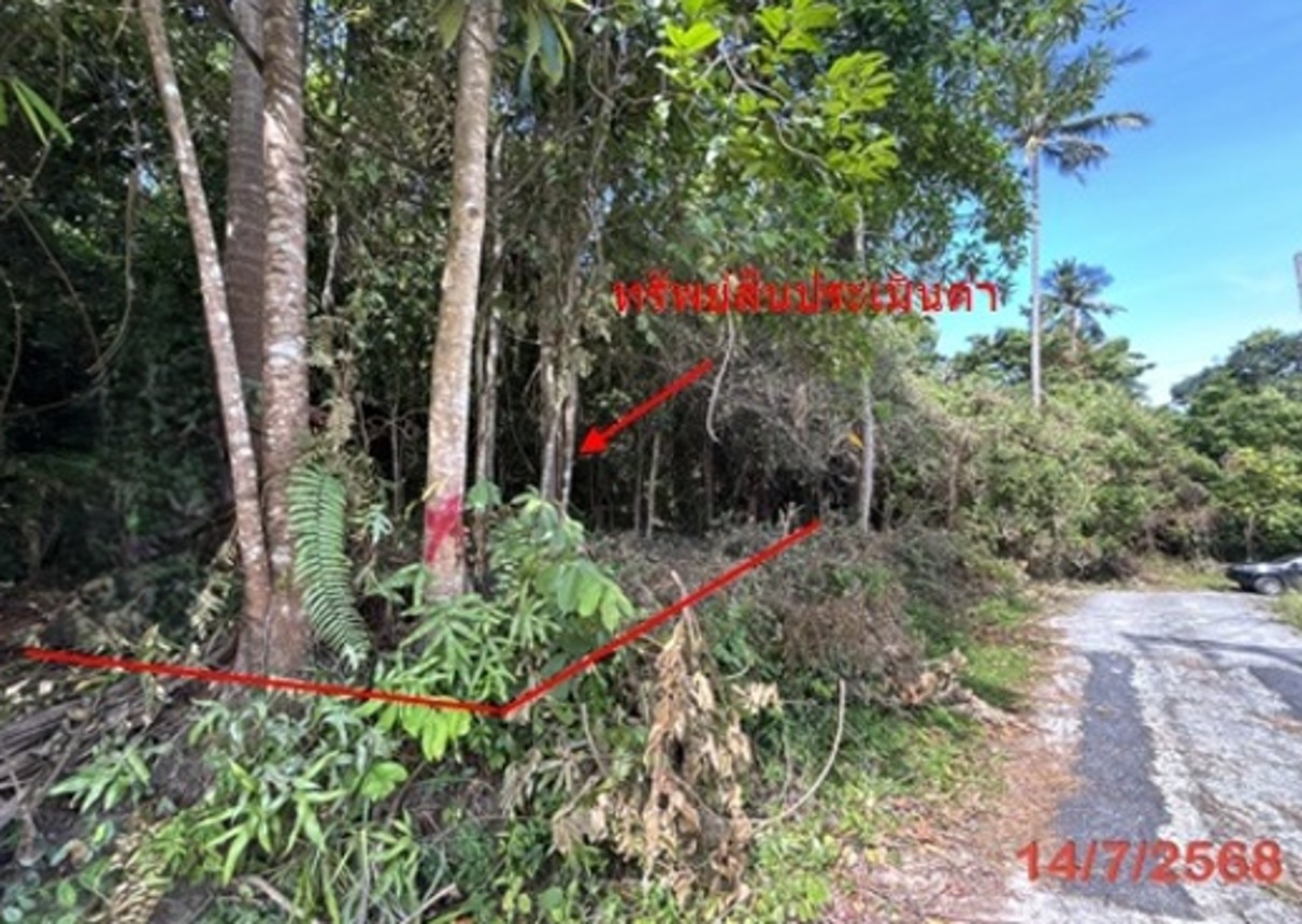 ประกาศฟรี! ซื้อ-ขาย-เช่า คอนโด บ้าน ทาวน์โฮม ที่ดิน และพื้นที่เชิงพาณิชย์ทั่วประเทศไทย ทุกทำเล ทุกงบประมาณ ไม่มีค่าใช้จ่าย ลงง่าย ขายไว เข้าถึงผู้ซื้อโดยตรง 3 253099pic2.jpg