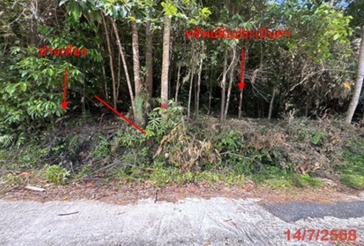 ประกาศฟรี! ซื้อ-ขาย-เช่า คอนโด บ้าน ทาวน์โฮม ที่ดิน และพื้นที่เชิงพาณิชย์ทั่วประเทศไทย ทุกทำเล ทุกงบประมาณ ไม่มีค่าใช้จ่าย ลงง่าย ขายไว เข้าถึงผู้ซื้อโดยตรง 4 253099pic3.jpg