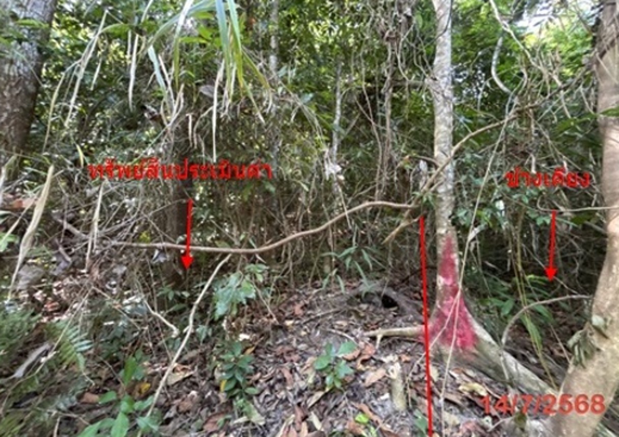 ประกาศฟรี! ซื้อ-ขาย-เช่า คอนโด บ้าน ทาวน์โฮม ที่ดิน และพื้นที่เชิงพาณิชย์ทั่วประเทศไทย ทุกทำเล ทุกงบประมาณ ไม่มีค่าใช้จ่าย ลงง่าย ขายไว เข้าถึงผู้ซื้อโดยตรง 5 253099pic4.jpg