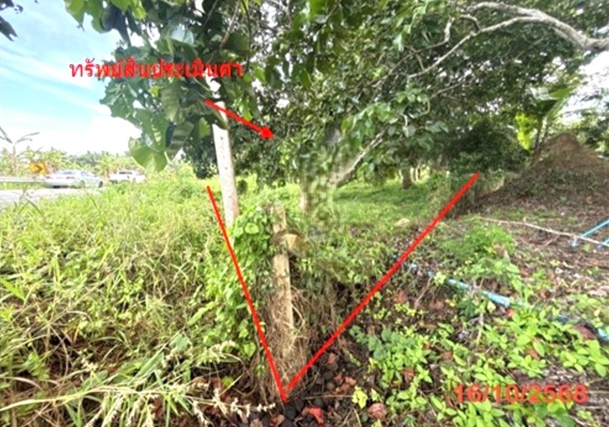 ประกาศฟรี! ซื้อ-ขาย-เช่า คอนโด บ้าน ทาวน์โฮม ที่ดิน และพื้นที่เชิงพาณิชย์ทั่วประเทศไทย ทุกทำเล ทุกงบประมาณ ไม่มีค่าใช้จ่าย ลงง่าย ขายไว เข้าถึงผู้ซื้อโดยตรง 4 253097pic3.jpg