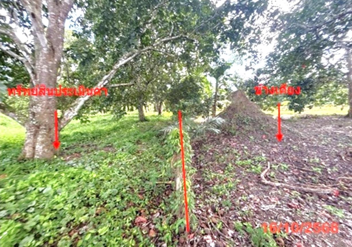 ประกาศฟรี! ซื้อ-ขาย-เช่า คอนโด บ้าน ทาวน์โฮม ที่ดิน และพื้นที่เชิงพาณิชย์ทั่วประเทศไทย ทุกทำเล ทุกงบประมาณ ไม่มีค่าใช้จ่าย ลงง่าย ขายไว เข้าถึงผู้ซื้อโดยตรง 5 253097pic4.jpg