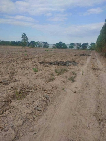 ประกาศฟรี! ซื้อ-ขาย-เช่า คอนโด บ้าน ทาวน์โฮม ที่ดิน และพื้นที่เชิงพาณิชย์ทั่วประเทศไทย ทุกทำเล ทุกงบประมาณ ไม่มีค่าใช้จ่าย ลงง่าย ขายไว เข้าถึงผู้ซื้อโดยตรง 5 315595pic4.jpg