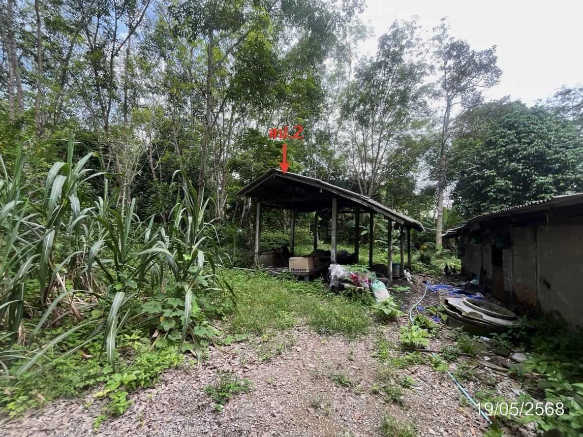 ประกาศฟรี! ซื้อ-ขาย-เช่า คอนโด บ้าน ทาวน์โฮม ที่ดิน และพื้นที่เชิงพาณิชย์ทั่วประเทศไทย ทุกทำเล ทุกงบประมาณ ไม่มีค่าใช้จ่าย ลงง่าย ขายไว เข้าถึงผู้ซื้อโดยตรง 3 253144pic2.jpg