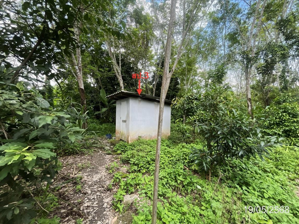 ประกาศฟรี! ซื้อ-ขาย-เช่า คอนโด บ้าน ทาวน์โฮม ที่ดิน และพื้นที่เชิงพาณิชย์ทั่วประเทศไทย ทุกทำเล ทุกงบประมาณ ไม่มีค่าใช้จ่าย ลงง่าย ขายไว เข้าถึงผู้ซื้อโดยตรง 4 253144pic3.jpg