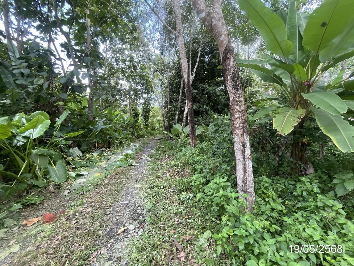 ประกาศฟรี! ซื้อ-ขาย-เช่า คอนโด บ้าน ทาวน์โฮม ที่ดิน และพื้นที่เชิงพาณิชย์ทั่วประเทศไทย ทุกทำเล ทุกงบประมาณ ไม่มีค่าใช้จ่าย ลงง่าย ขายไว เข้าถึงผู้ซื้อโดยตรง 5 253144pic4.jpg