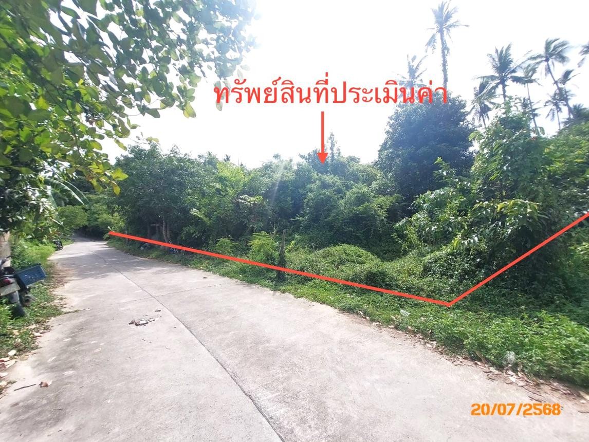 ประกาศฟรี! ซื้อ-ขาย-เช่า คอนโด บ้าน ทาวน์โฮม ที่ดิน และพื้นที่เชิงพาณิชย์ทั่วประเทศไทย ทุกทำเล ทุกงบประมาณ ไม่มีค่าใช้จ่าย ลงง่าย ขายไว เข้าถึงผู้ซื้อโดยตรง 4 253114pic3.jpg