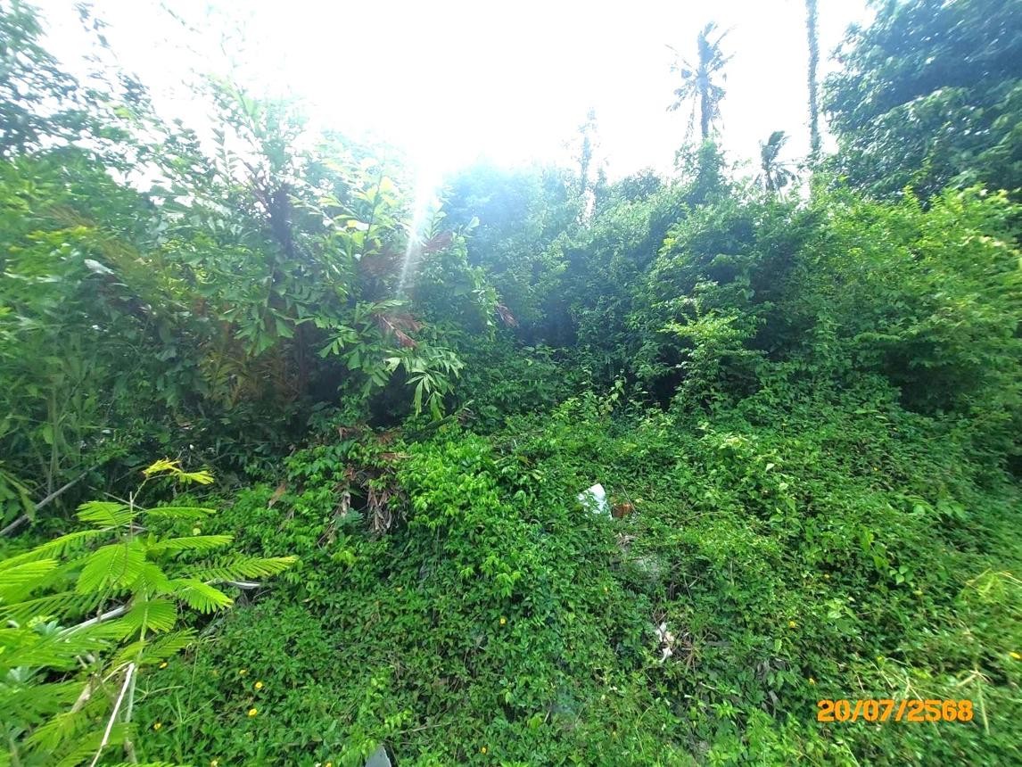 ประกาศฟรี! ซื้อ-ขาย-เช่า คอนโด บ้าน ทาวน์โฮม ที่ดิน และพื้นที่เชิงพาณิชย์ทั่วประเทศไทย ทุกทำเล ทุกงบประมาณ ไม่มีค่าใช้จ่าย ลงง่าย ขายไว เข้าถึงผู้ซื้อโดยตรง 5 253114pic4.jpg