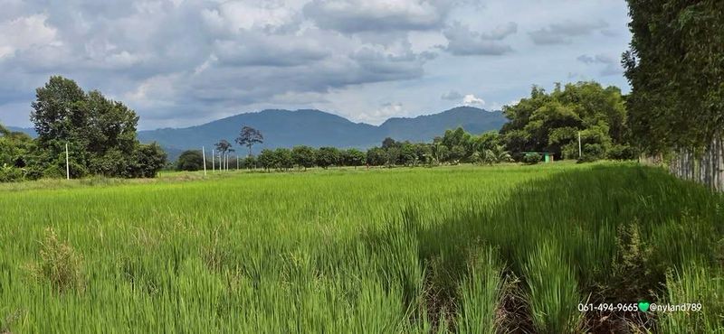 ประกาศฟรี! ซื้อ-ขาย-เช่า คอนโด บ้าน ทาวน์โฮม ที่ดิน และพื้นที่เชิงพาณิชย์ทั่วประเทศไทย ทุกทำเล ทุกงบประมาณ ไม่มีค่าใช้จ่าย ลงง่าย ขายไว เข้าถึงผู้ซื้อโดยตรง 2 515102pic1.jpg